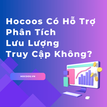 Hocoos Có Hỗ Trợ Phân Tích Lưu Lượng Truy Cập Không